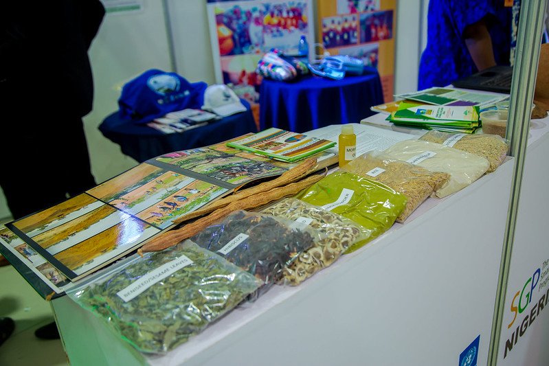 53855138854_1879c8b034_c