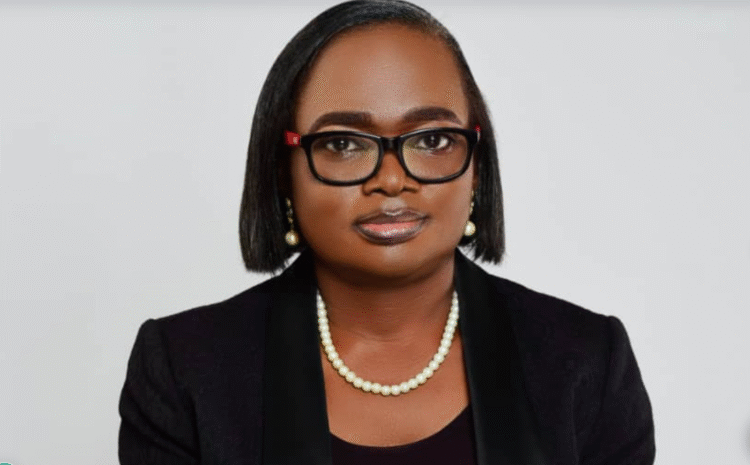  UNDP trains teachers, pupils on green energy technologies